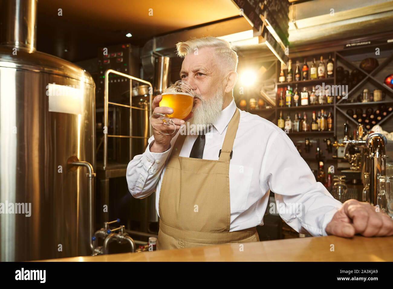 Anziani barbuto barman nel grembiule marrone in piedi al bancone bar in  mini birreria e bere freddo birra gustosi. Bella birreria esperto la  degustazione della birra, guardando lontano Foto stock - Alamy