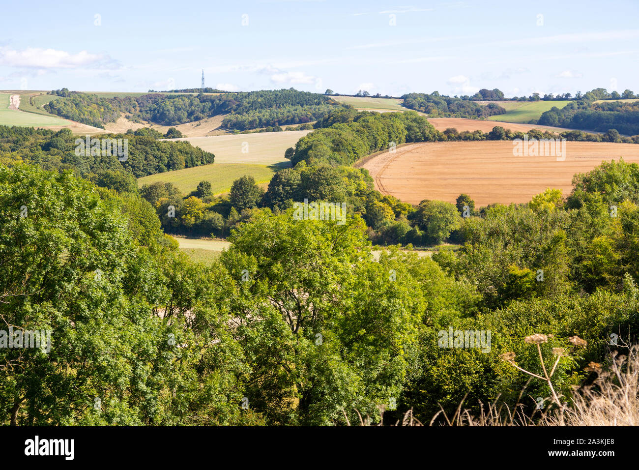Chalk rolling vista del paesaggio a nord-est dal vicino Linkenholt, Hampshire, Inghilterra, Regno Unito Foto Stock
