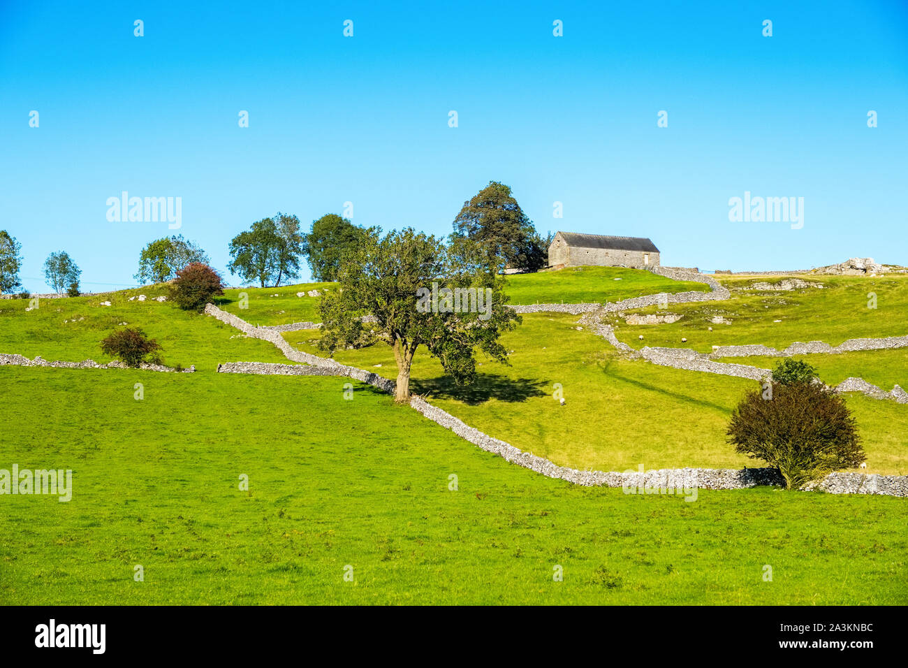 Bianco tipico paesaggio di picco dei campi e dei muri in pietra a secco, il Parco Nazionale di Peak District, Derbyshire, Regno Unito Foto Stock