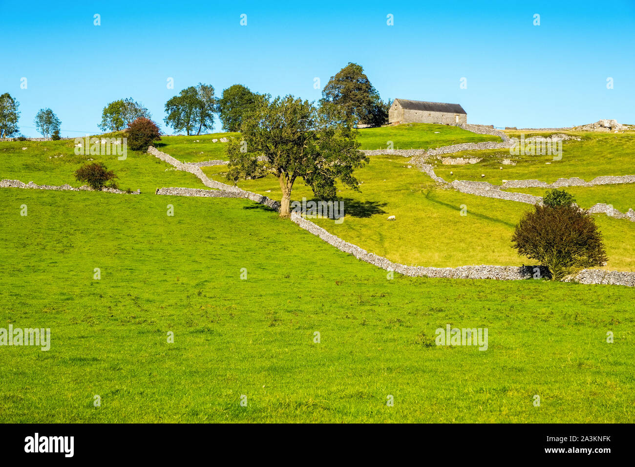 Bianco tipico paesaggio di picco dei campi e dei muri in pietra a secco, il Parco Nazionale di Peak District, Derbyshire, Regno Unito Foto Stock