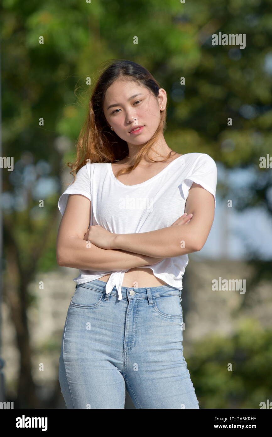 Testardo femmina adulta Foto Stock