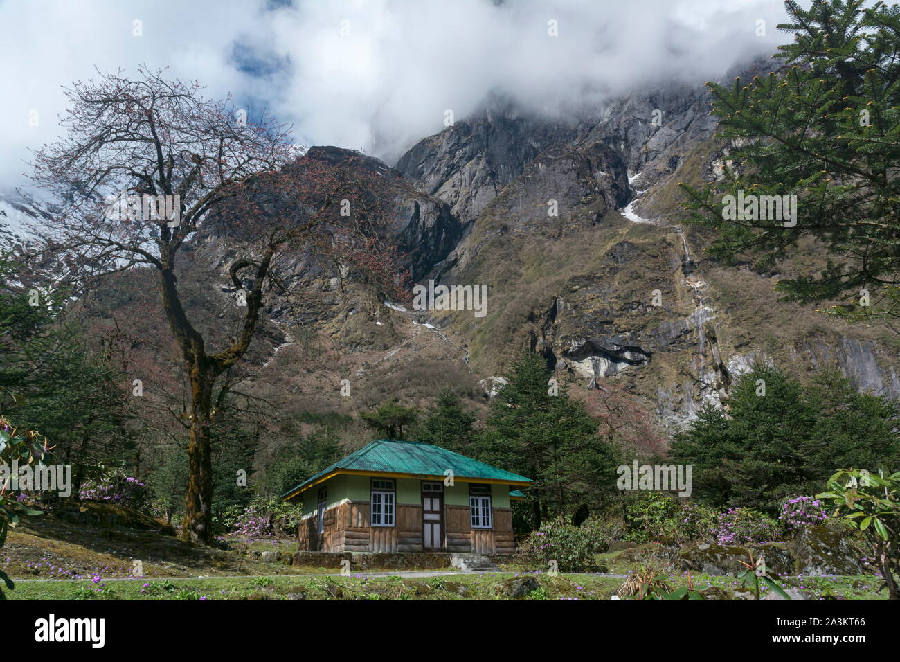 Casa di riposo a valle di Yumthang, Lachung, Sikkim, India Foto Stock