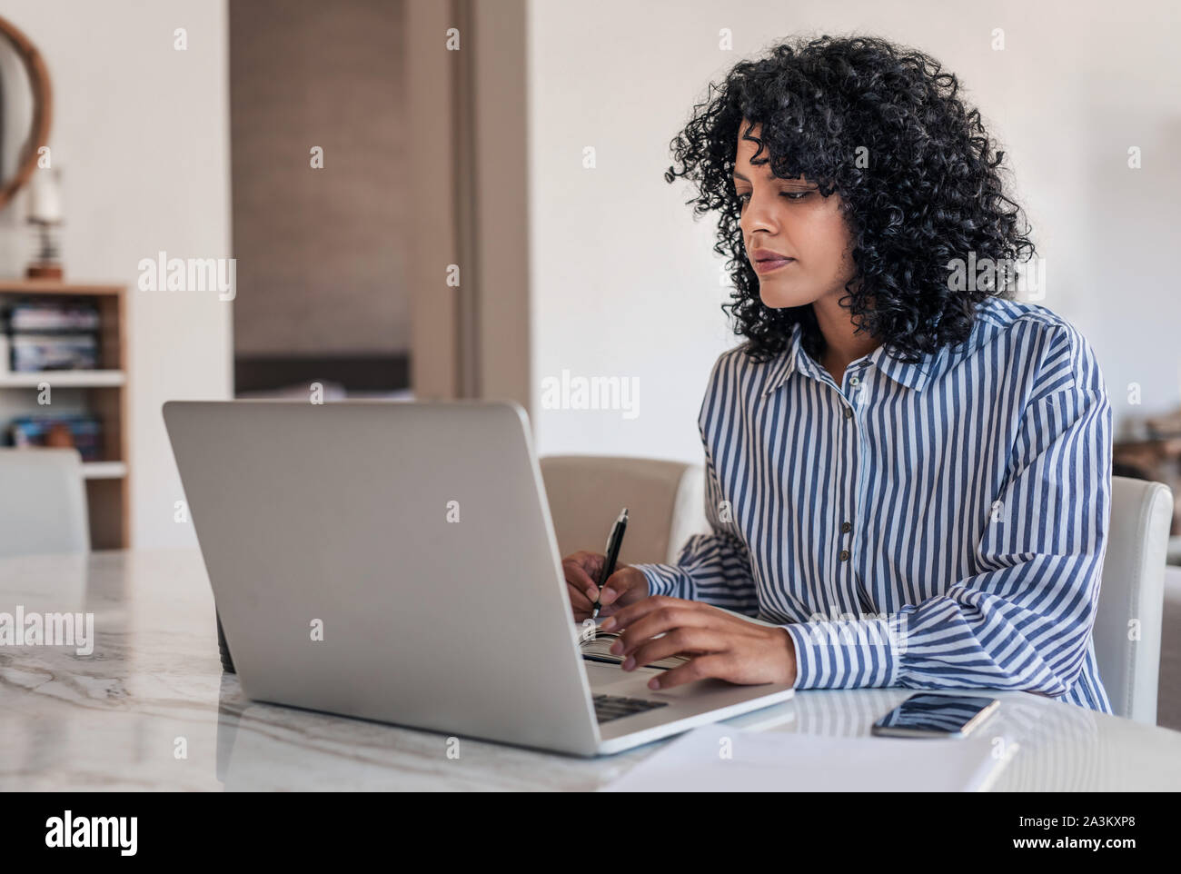 Femmina giovane imprenditore lavora a casa con il suo computer portatile Foto Stock