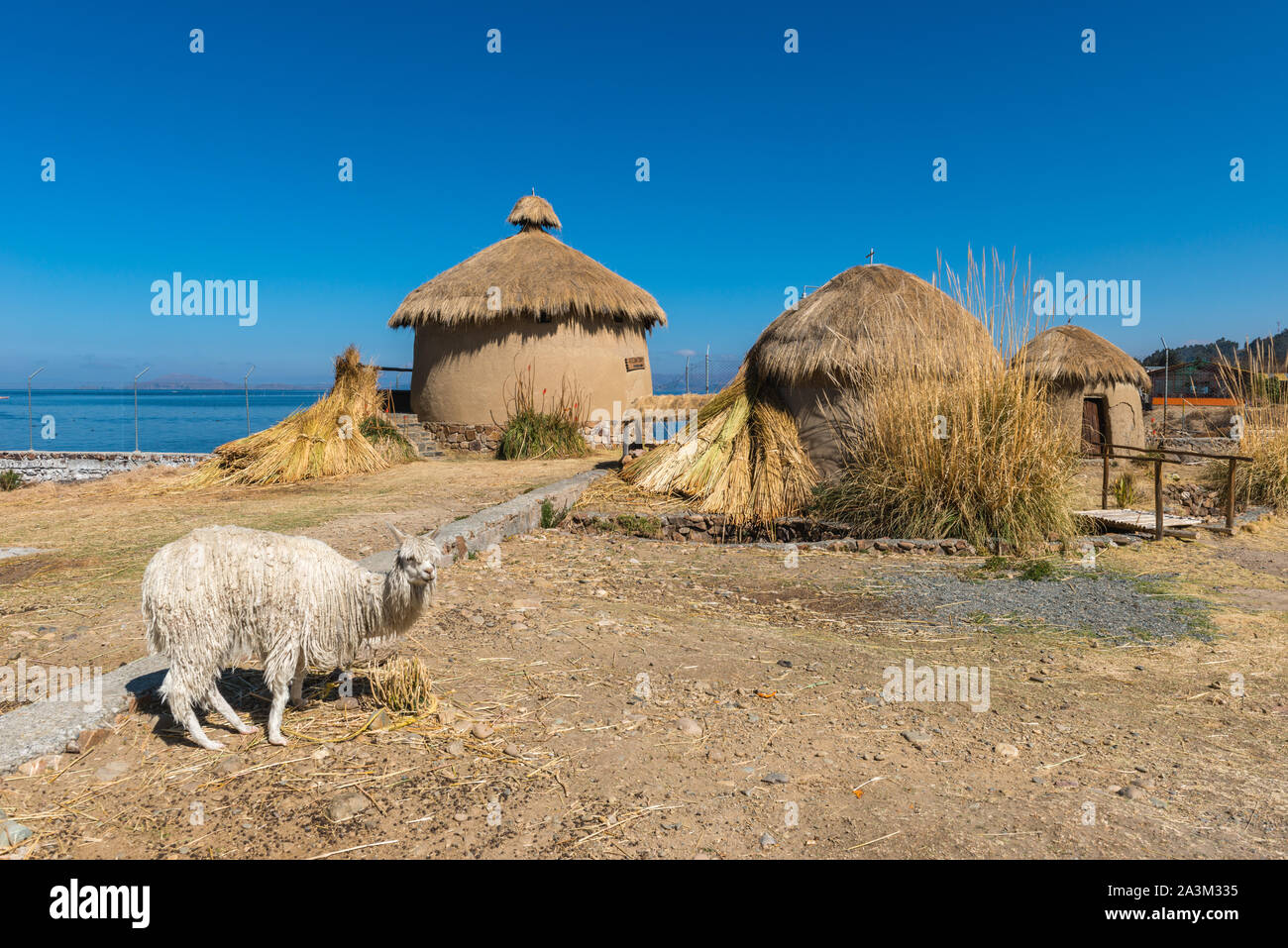 Eco Villaggio Andino, museo in Huatajata, borgo lacuale del Lago Titicaca, La Paz, Bolivia, America Latina Foto Stock