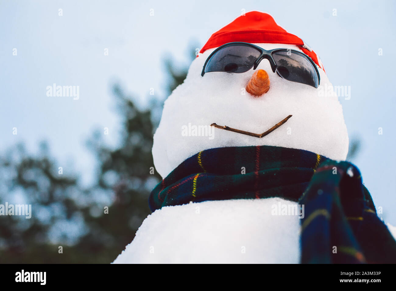 Ritratto di felice pupazzo di neve indossando sciarpa e occhiali da sole mentre godendo le vacanze invernali Foto Stock