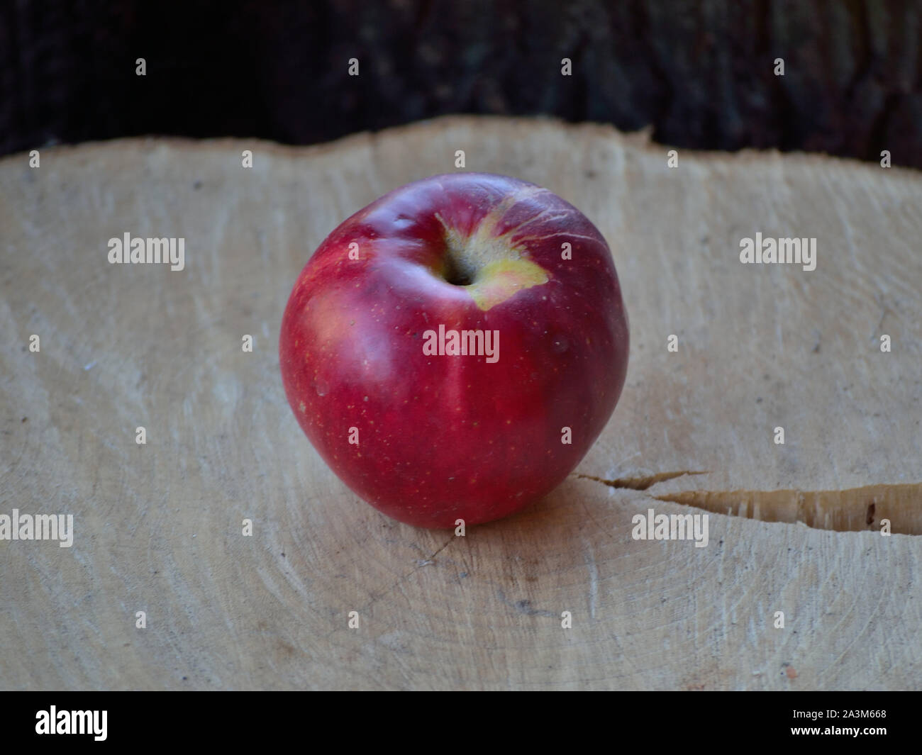 Organici di Apple su sfondo di legno Foto Stock