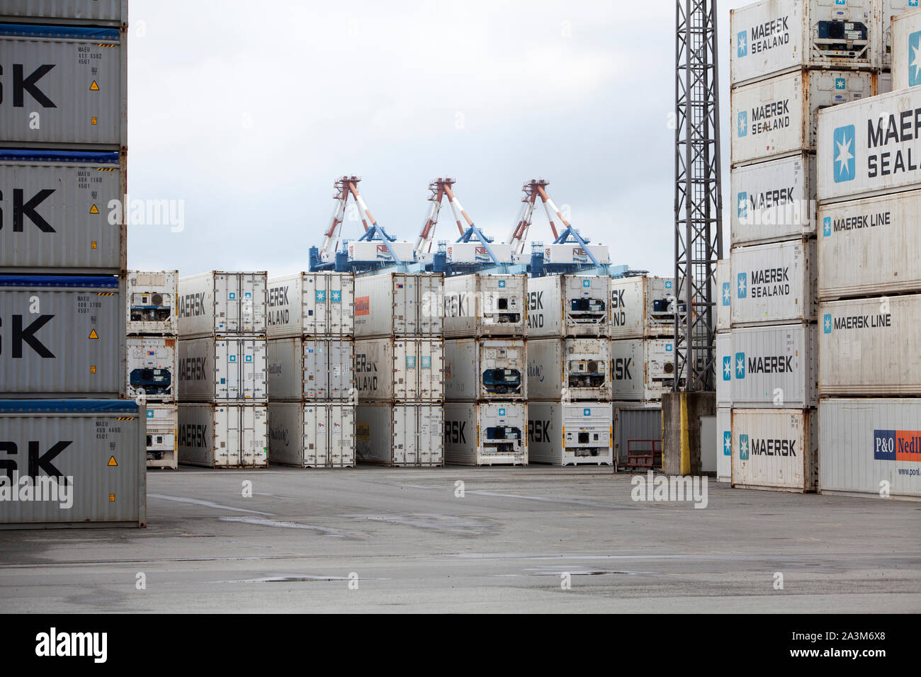 Bremerhaven Seaport, la libera città anseatica di Brema, Germania, Europa Foto Stock