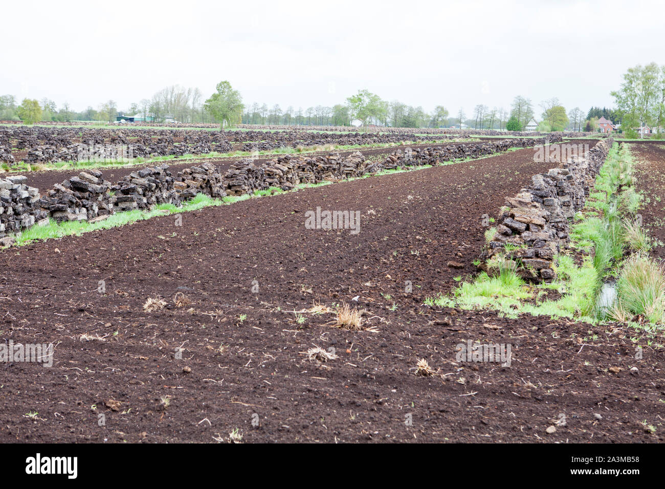 Estrazione di torba, Bassa Sassonia, Germania del nord Europa Foto Stock