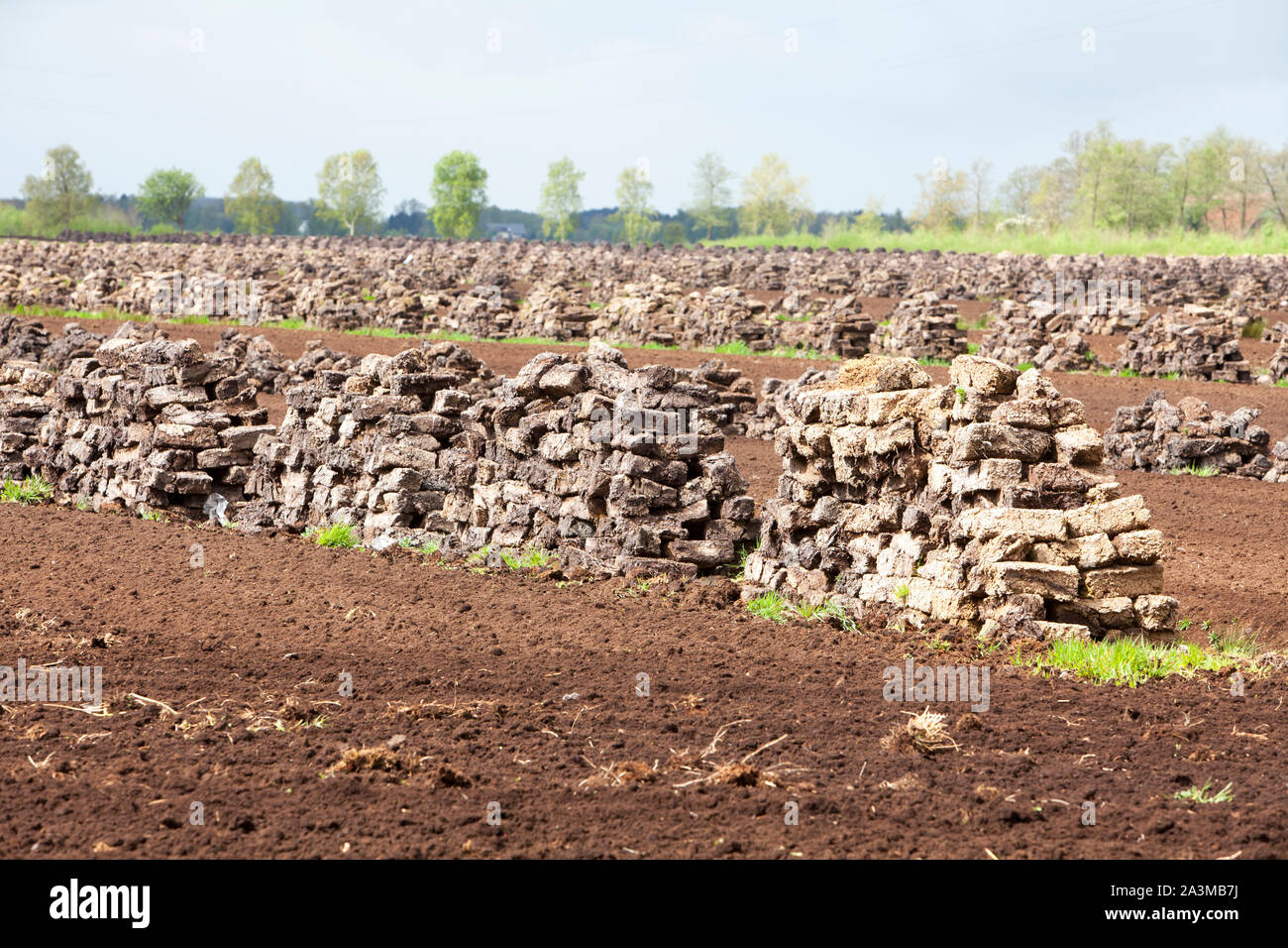 Estrazione di torba, Bassa Sassonia, Germania del nord Europa Foto Stock