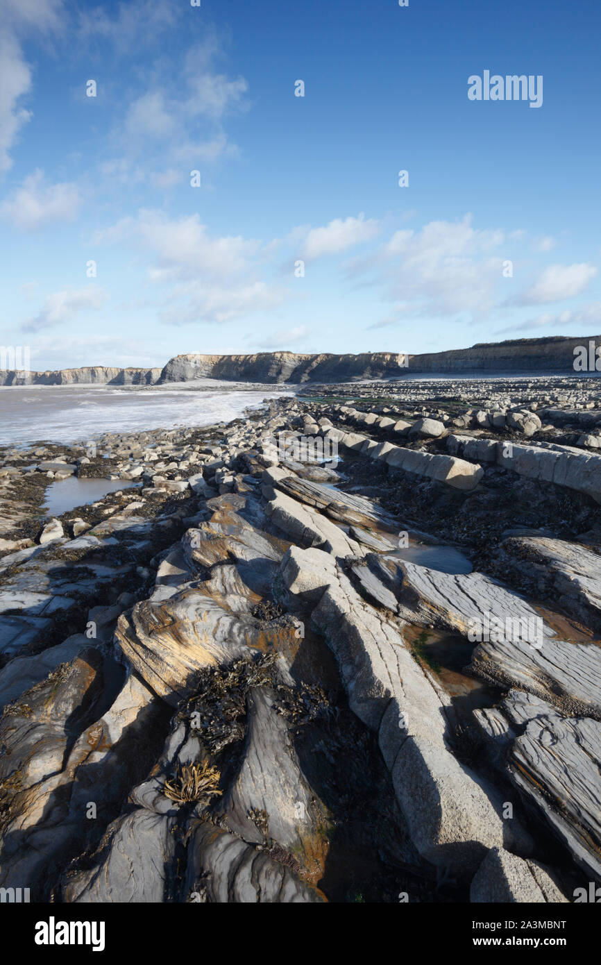 Kilve Beach. Somerset. Regno Unito. Una alternanza di strati di calcare di scisti e creare questi inter-ripiani di marea e le striature nelle scogliere. Foto Stock