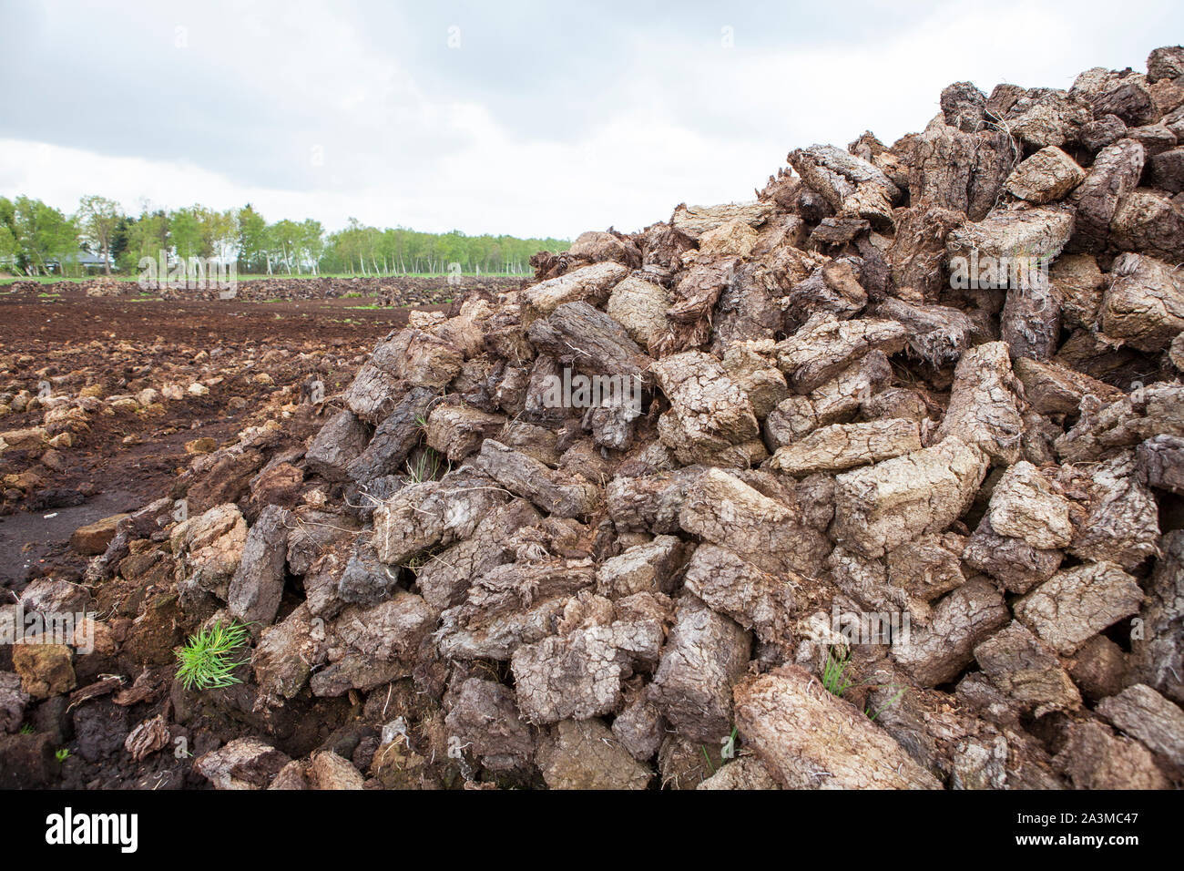 Estrazione di torba, Bassa Sassonia, Germania del nord Europa Foto Stock