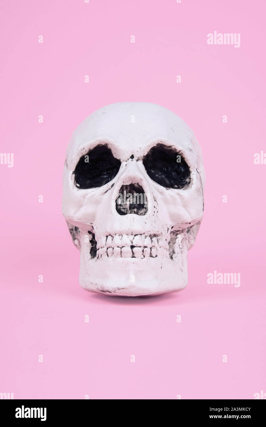 Teschio sul trendy rosa pastello sfondo. Creative concetto di Halloween. Foto Stock