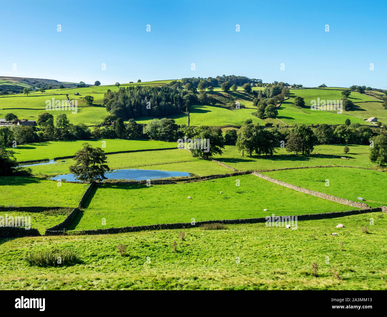 Terreni agricoli in Nidderdale da Wath Road vicino al ponte Pateley North Yorkshire, Inghilterra Foto Stock