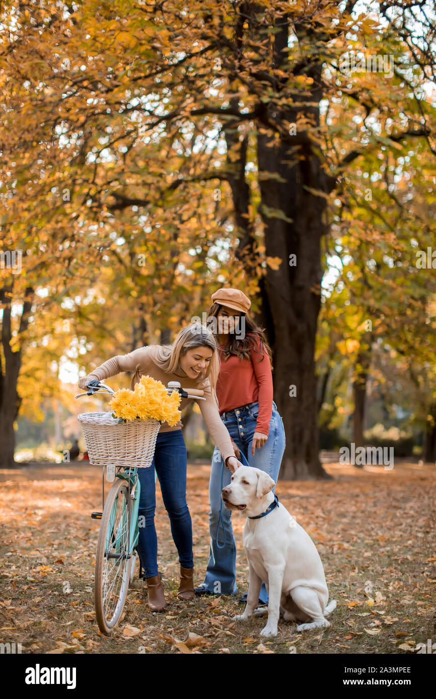 Due giovani amici di sesso femminile a piedi in Giallo autunno park con il cane e la bicicletta Foto Stock