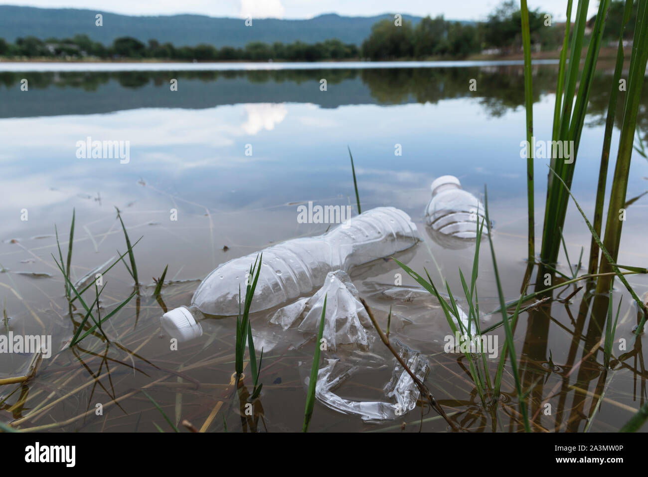 Plastica bottiglie di acqua inquinamento del fiume. Immondizia di plastica in acqua. Inquinamento ambientale concetto. Foto Stock