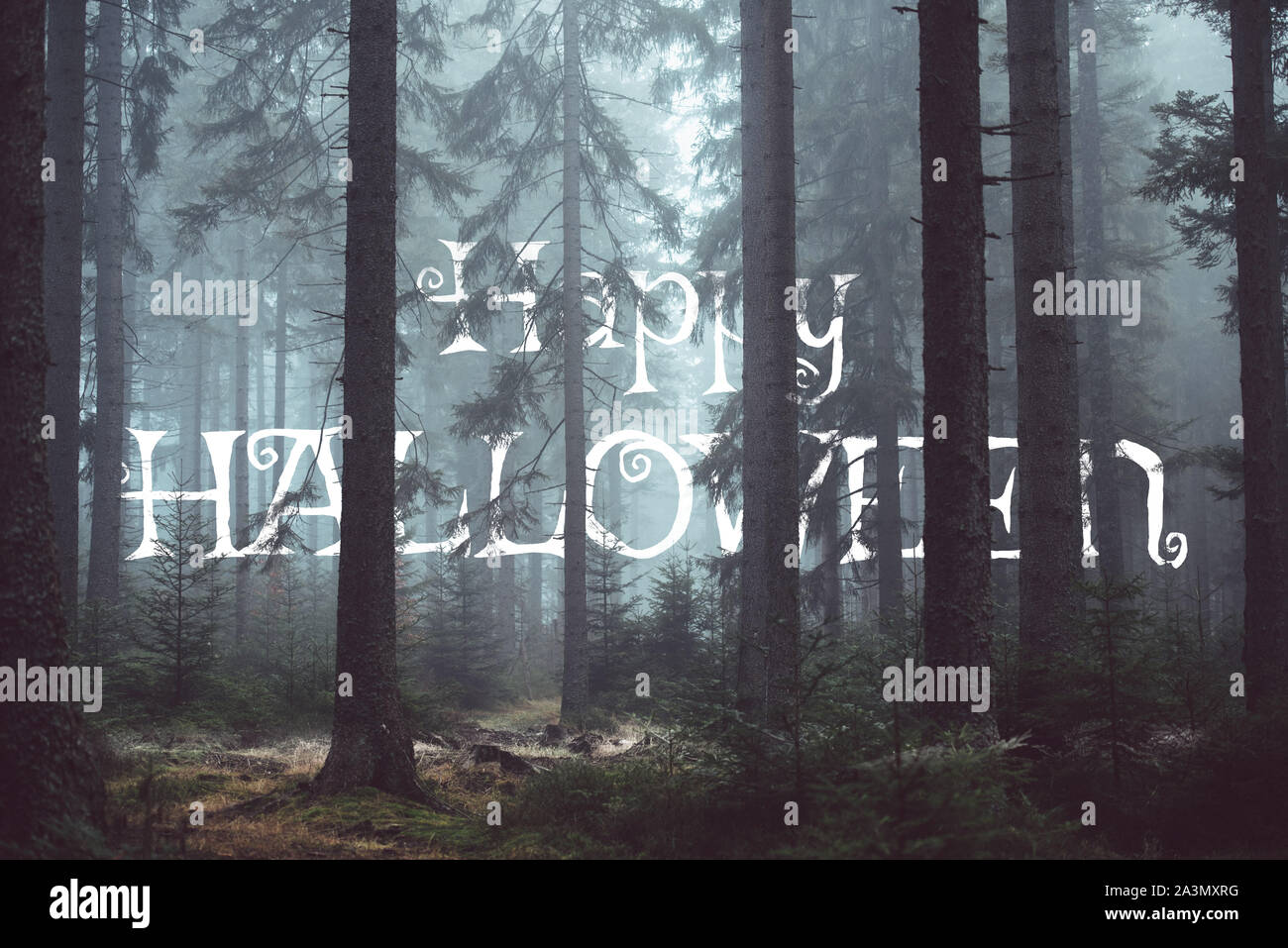 Happy Halloween sfondo con il testo nascosto tra i rami degli alberi in una foresta con la nebbia Foto Stock