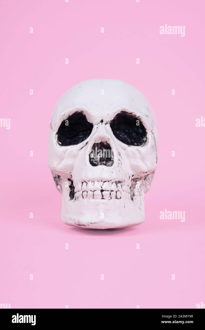 Teschio sul trendy rosa pastello sfondo. Foto Stock