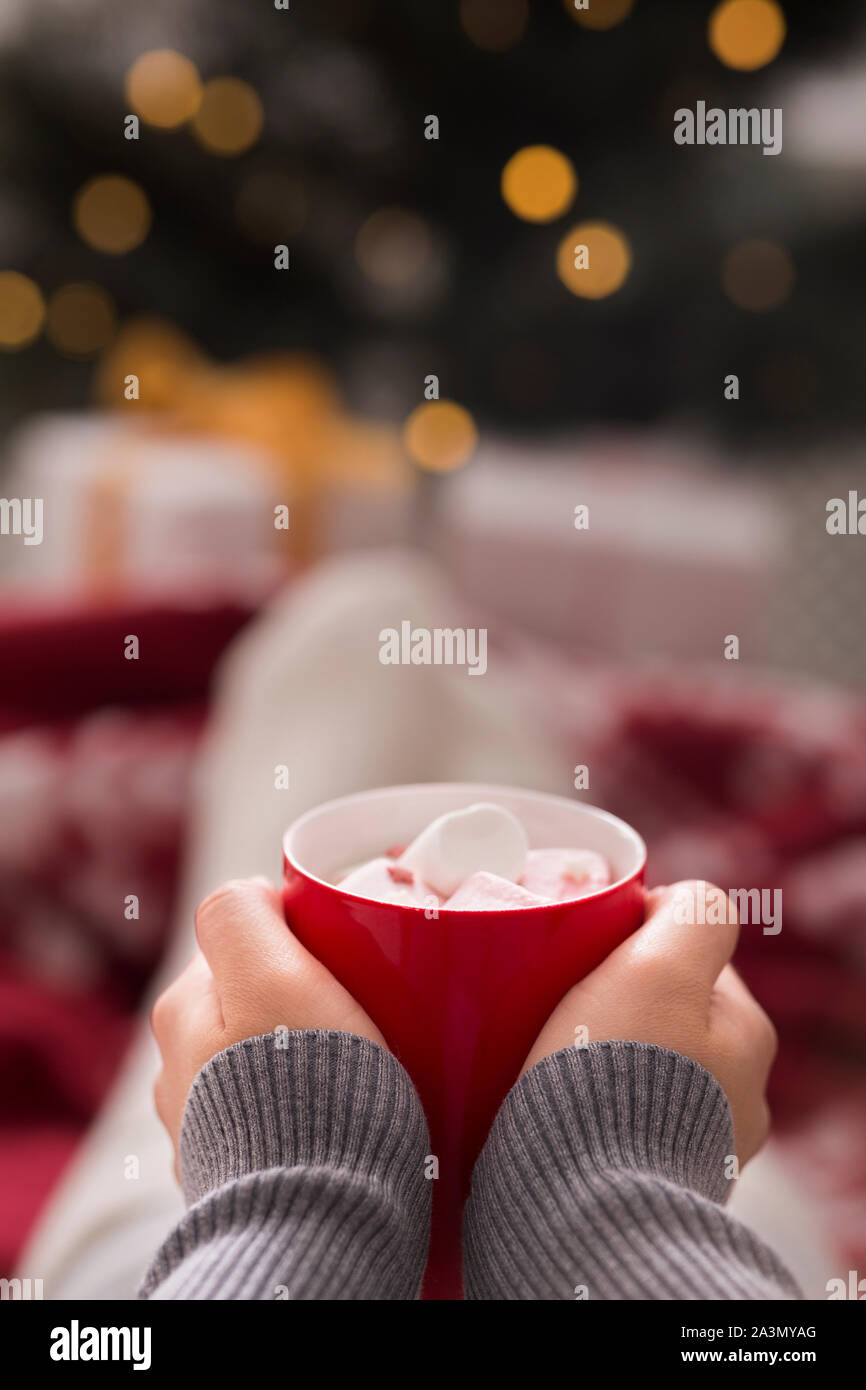 Donna che mantiene una tazza di cioccolato con marshmallow Foto Stock