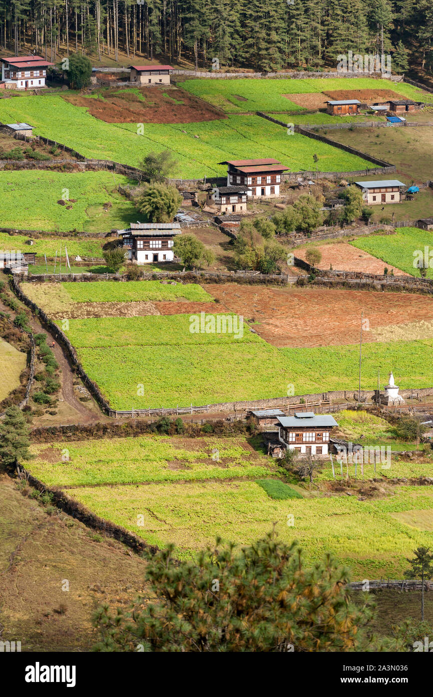 Vista aerea di un villaggio tranquillo con un'architettura unica in Bhutan. Foto Stock