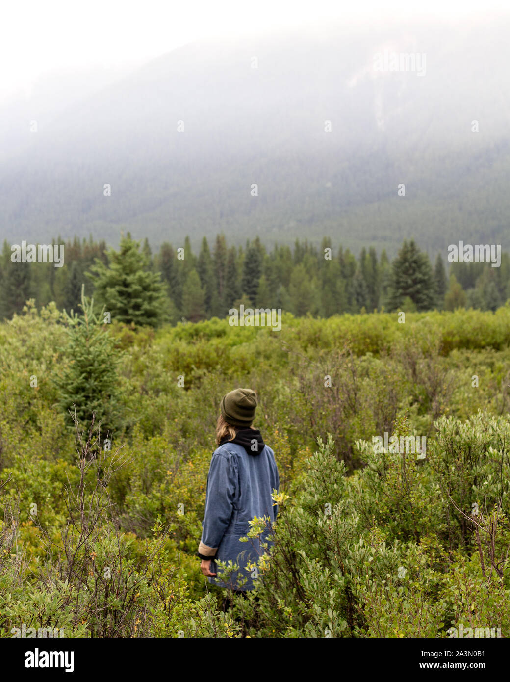 Ritratto di vagabondaggio di esplorare il Parco Nazionale di Banff Foto Stock