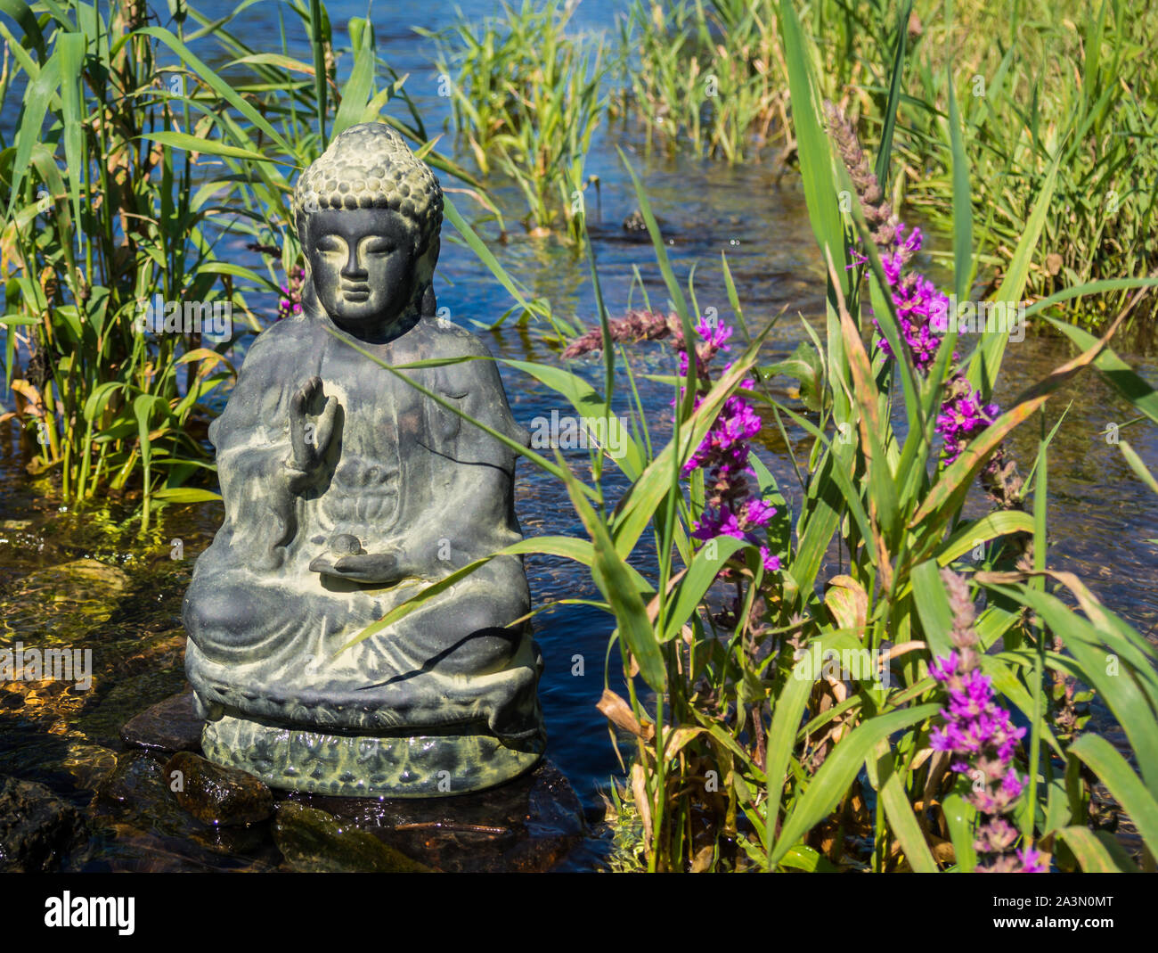 Spa und Massagen Buddha Foto Stock