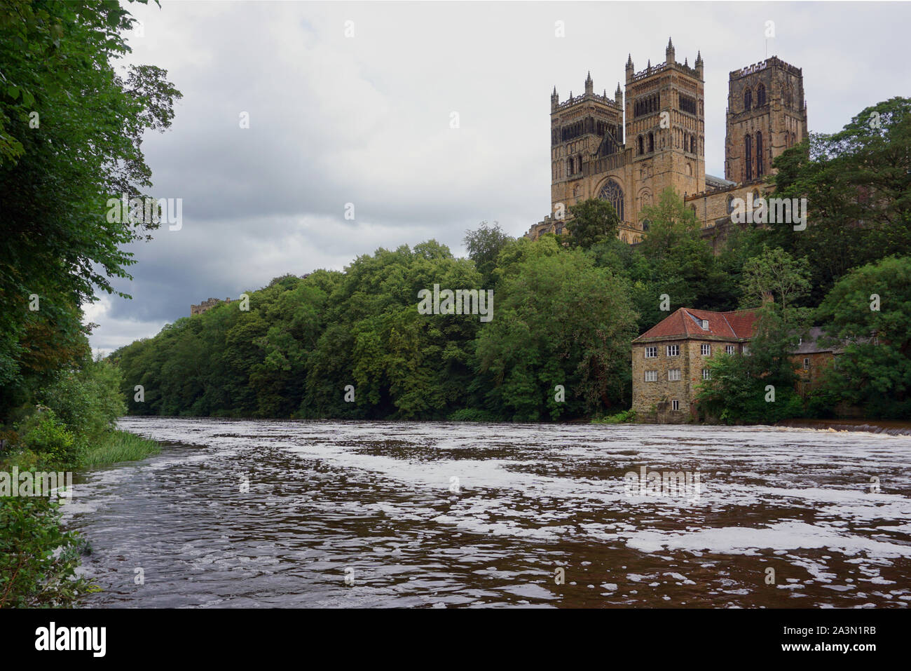 Durham Regno Unito usura sul fiume vista cattedrale Foto Stock