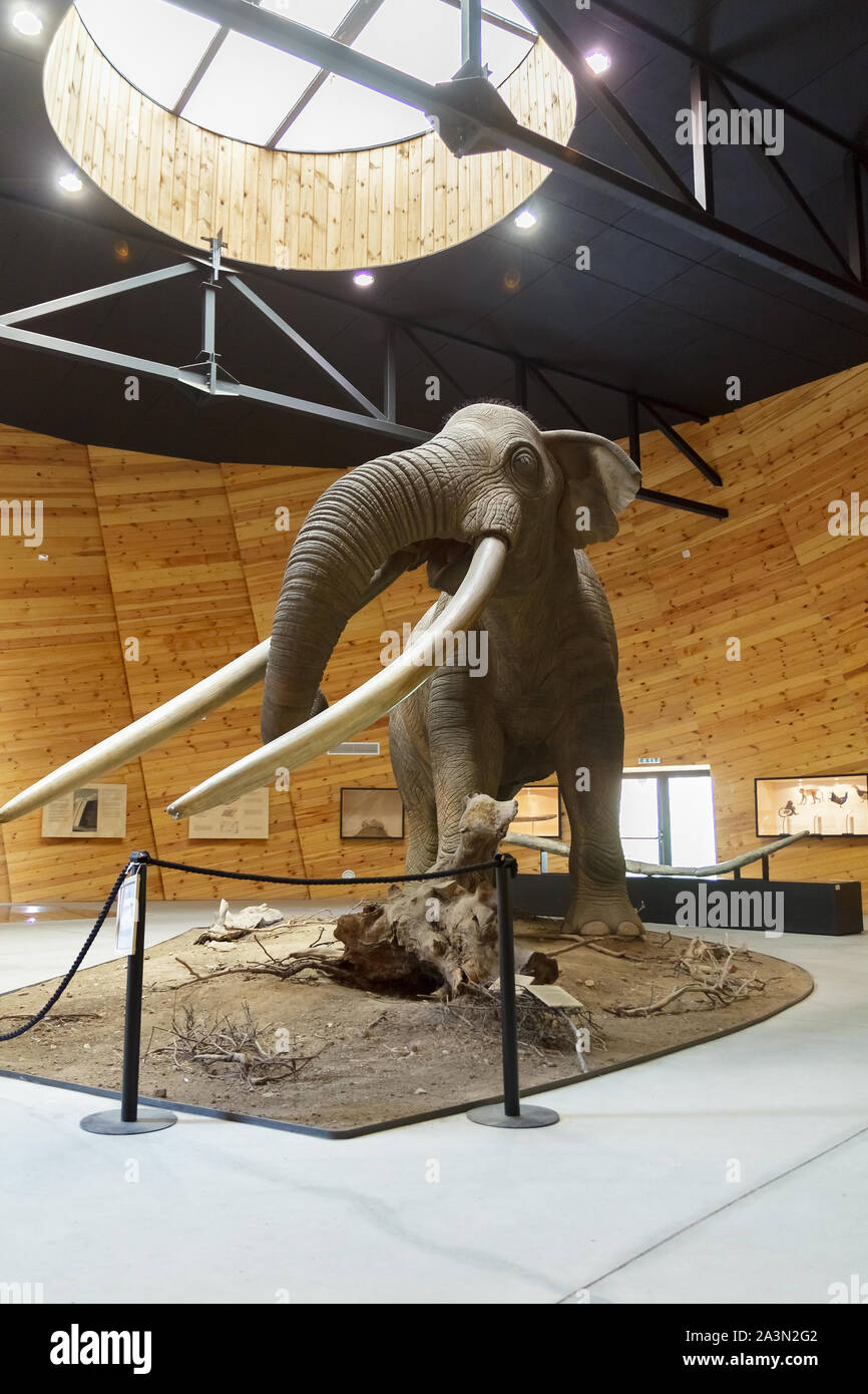 Pliocene Park in Dorkovo, Pazardzhik district, Bulgaria - 5 ottobre 2019. Un gigantesco modello in scala reale di mammoth. Resti dell'animale sono state te Foto Stock