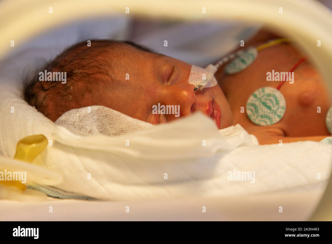 Nascita prematura ward in un ospedale, un reparto di neonatologia, neonati prematuri in un incubatore, Foto Stock