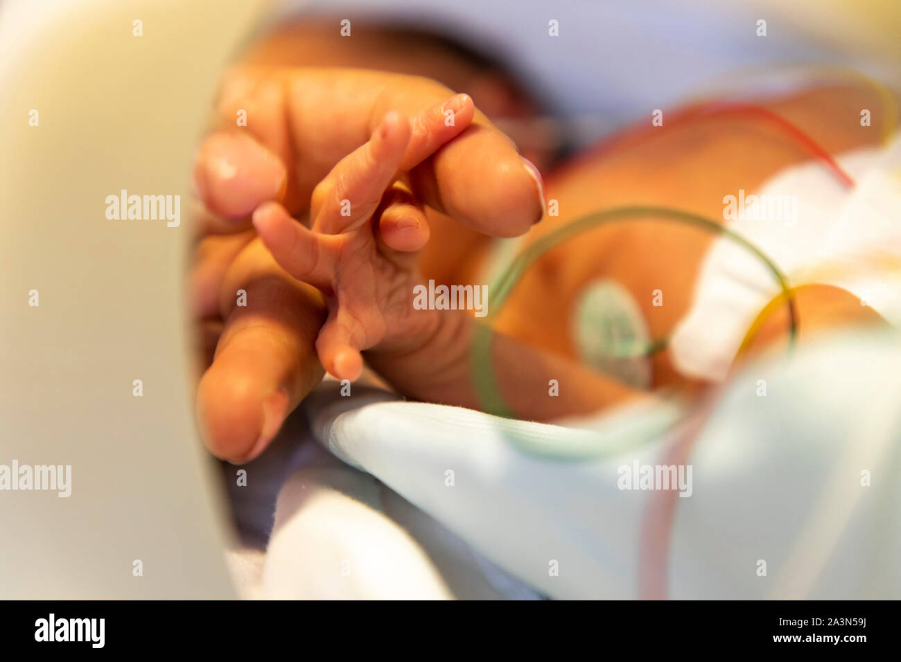 Nascita prematura ward in un ospedale, un reparto di neonatologia, neonati prematuri in un incubatore, mano della madre, Foto Stock