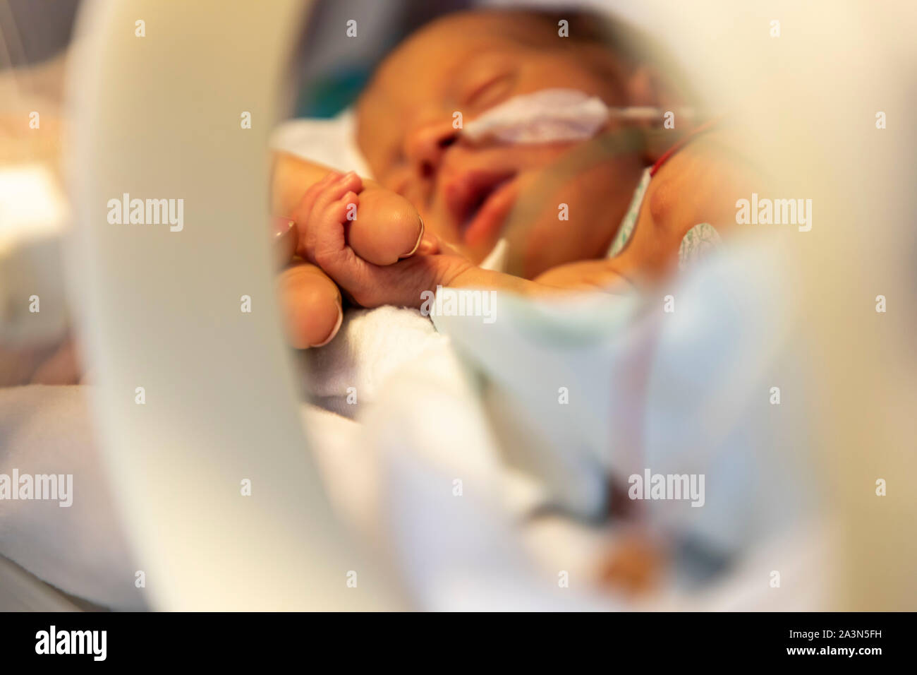 Nascita prematura ward in un ospedale, un reparto di neonatologia, neonati prematuri in un incubatore, mano della madre, Foto Stock