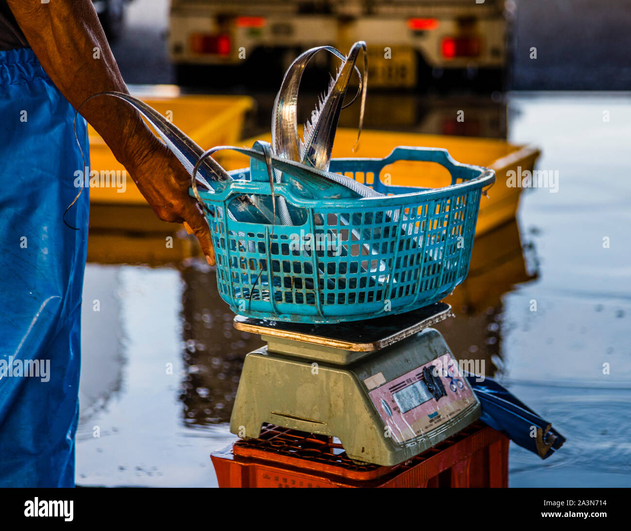 Asta del pesce in Yaidu, Giappone Foto Stock