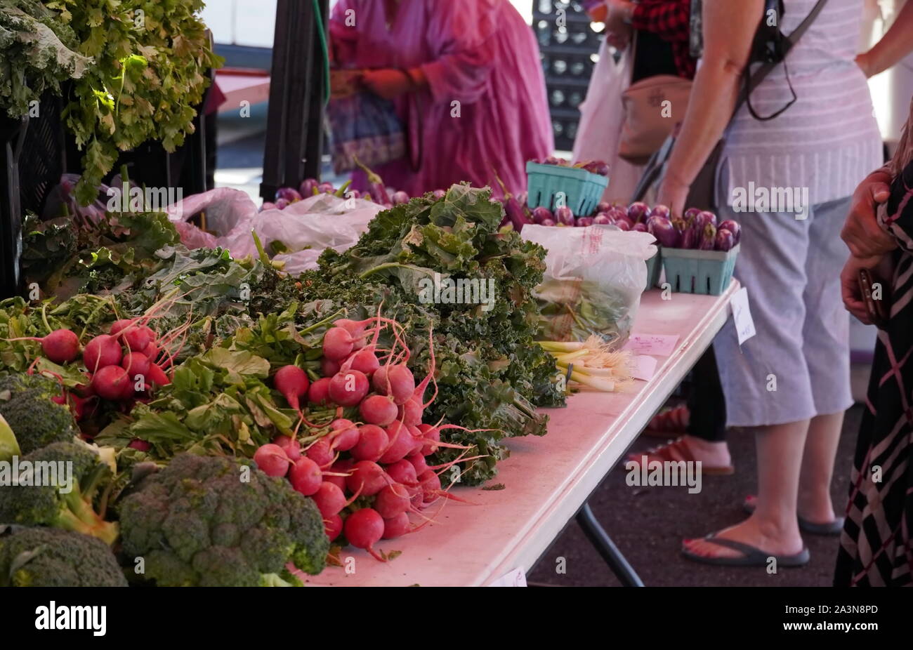 Chantilly, VA / STATI UNITI D'America - 19 Settembre 2019: stack di bietole e verdi presso la comunità di Chantilly Foodworks Farmers Market Foto Stock