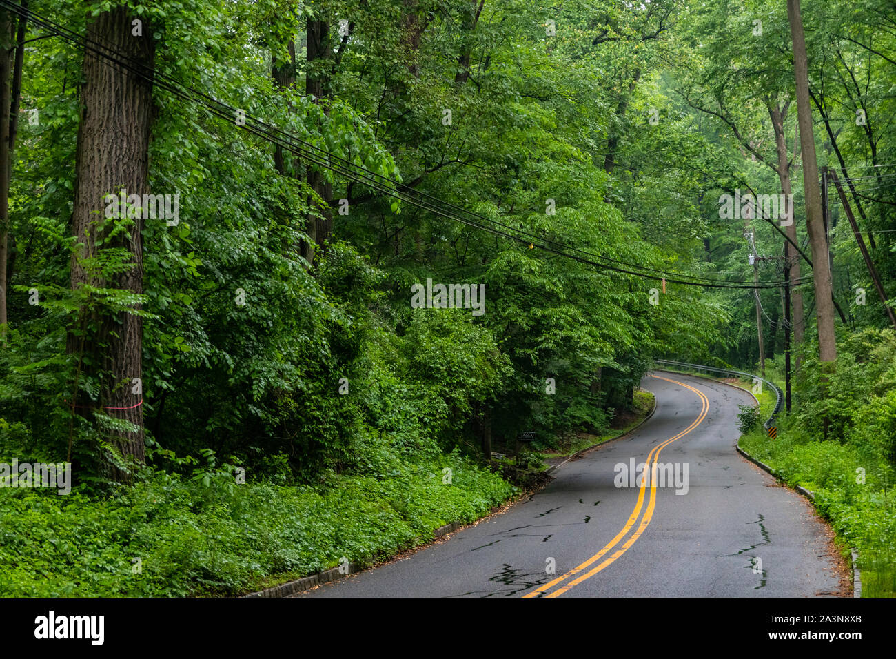 La tortuosa strada a due corsie conduce in lussureggianti boschi verdi intorno alla curva cieca Foto Stock