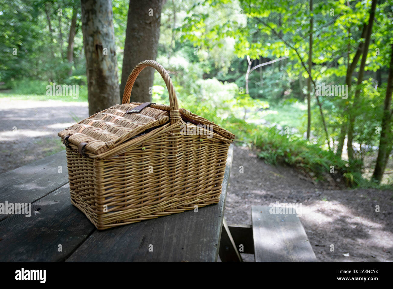 Cestino picnic in vimini sul tavolo da picnic, nel campeggio ricreativo o nel luogo picnic. Foto Stock