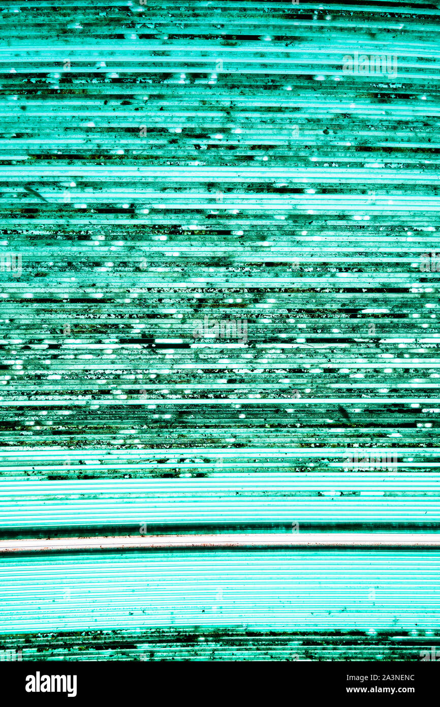 Vista dal basso della sporca tetto esterno della tettoia dal vecchio Verde traslucido a nido d'ape pannelli in policarbonato Foto Stock