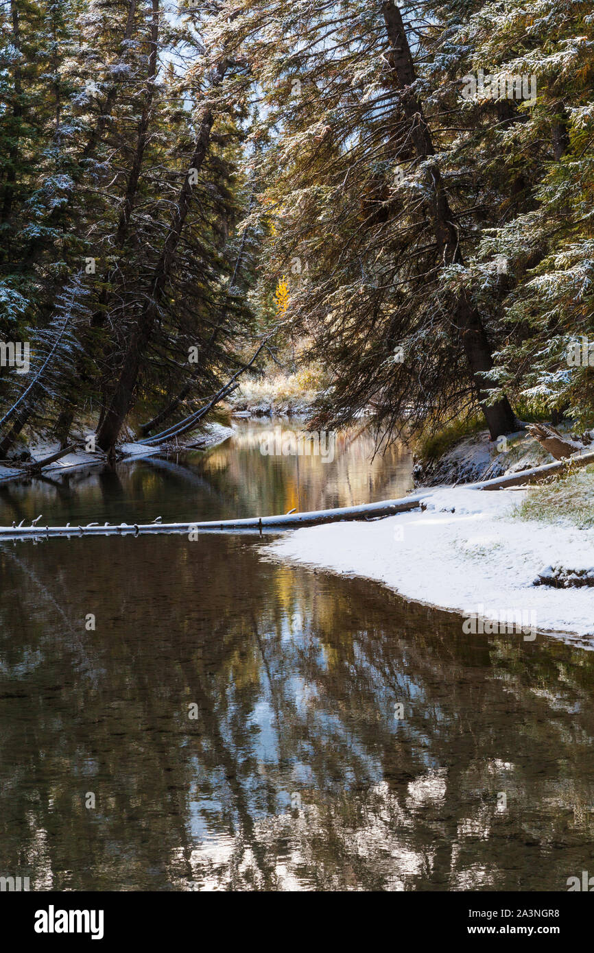 Scena da Fenland Loop Trail in Banff Alberta dopo la prima leggera nevicata della stagione Foto Stock