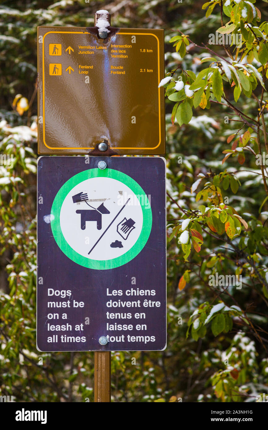 Sentiero direzionale segno e a proprietari di animali domestici promemoria su un sentiero post nel Parco Nazionale di Banff Alberta Canada Foto Stock