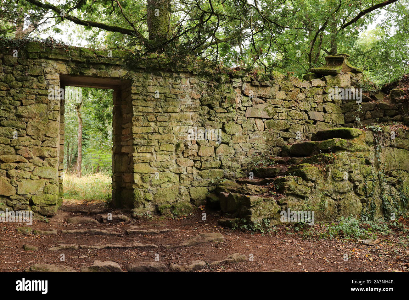Il vecchio muro di pietra nella foresta - luogo misterioso Foto Stock