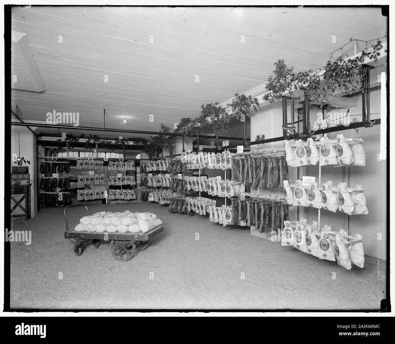 SWIFT & CO. Foto Stock