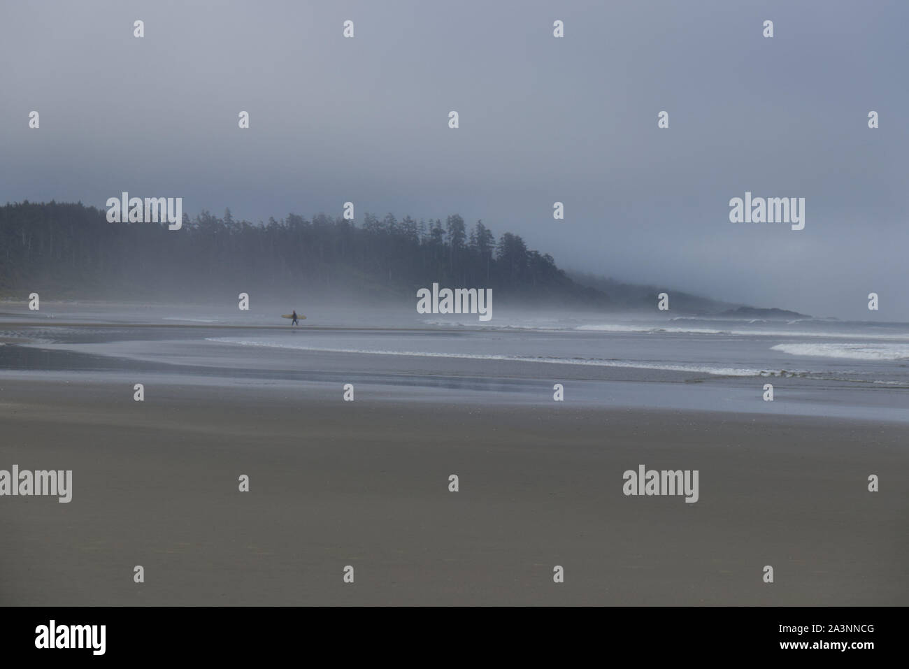 Surfer è a piedi con un bordo bianco lungo la lunga spiaggia vicino a Tofino, Isola di Vancouver, Canada in mattinata nebbiosa Foto Stock