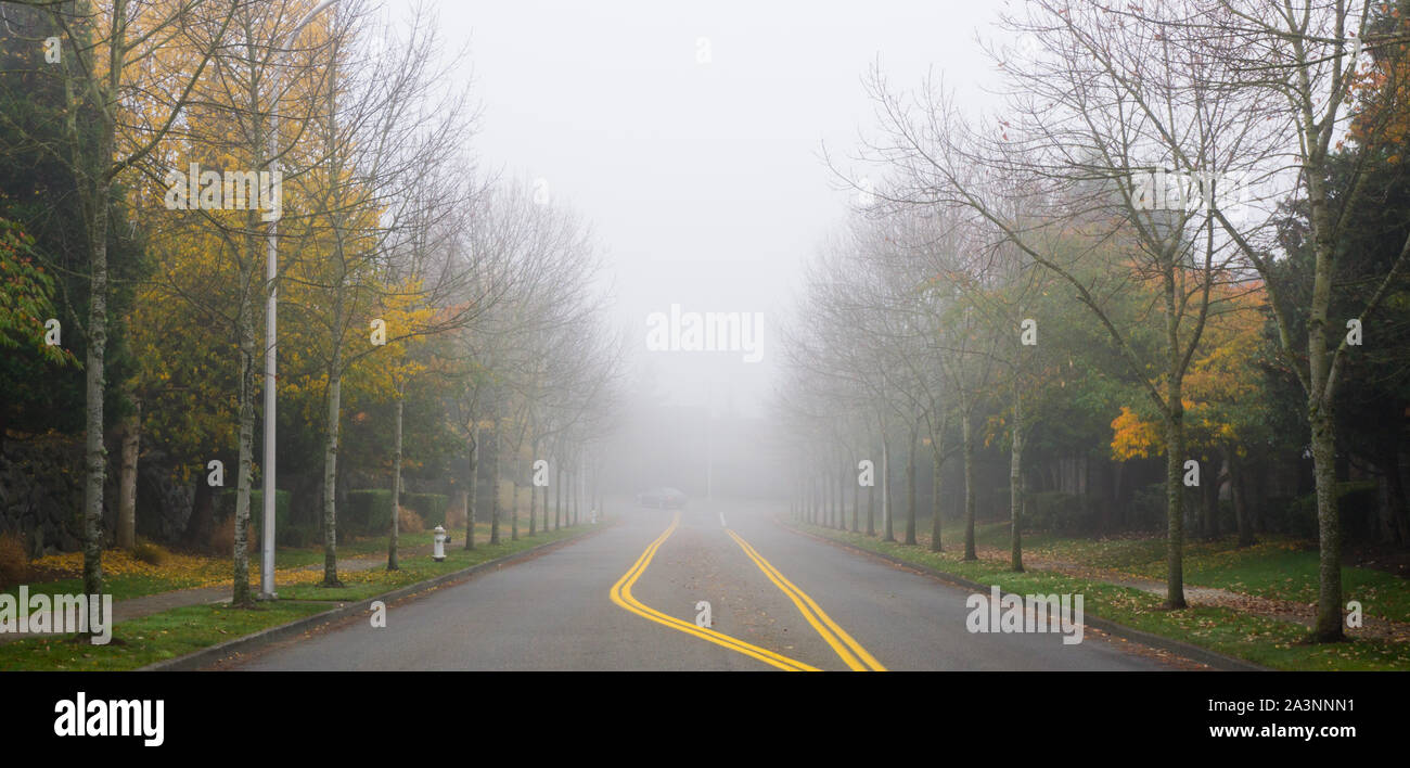 Nebbia di mattina con i colori dell'autunno Foto Stock