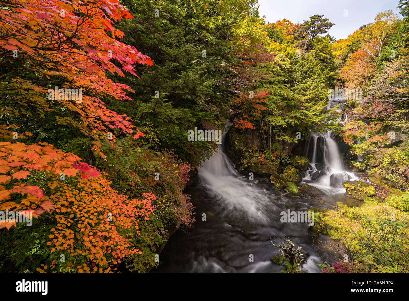Autumn Fall foresta a cascata Ryuzu al Nikko Tochigi in Giappone Foto Stock