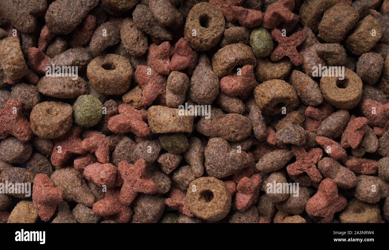 Asciugate pet food texture di sfondo. Foto Stock