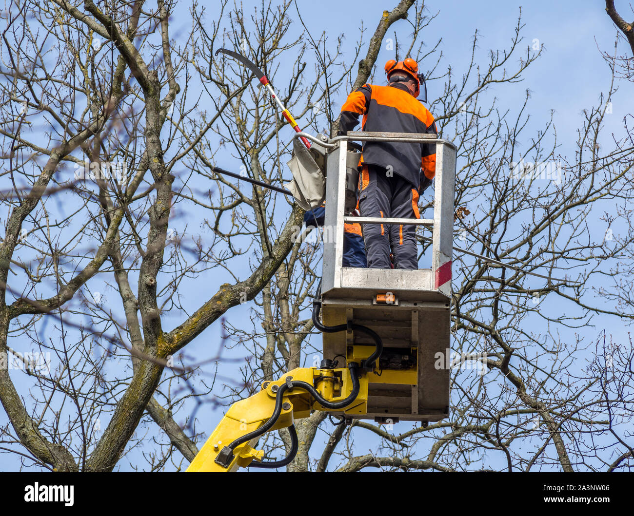 Abbattimento degli alberi di sollevamento idraulico Foto stock - Alamy