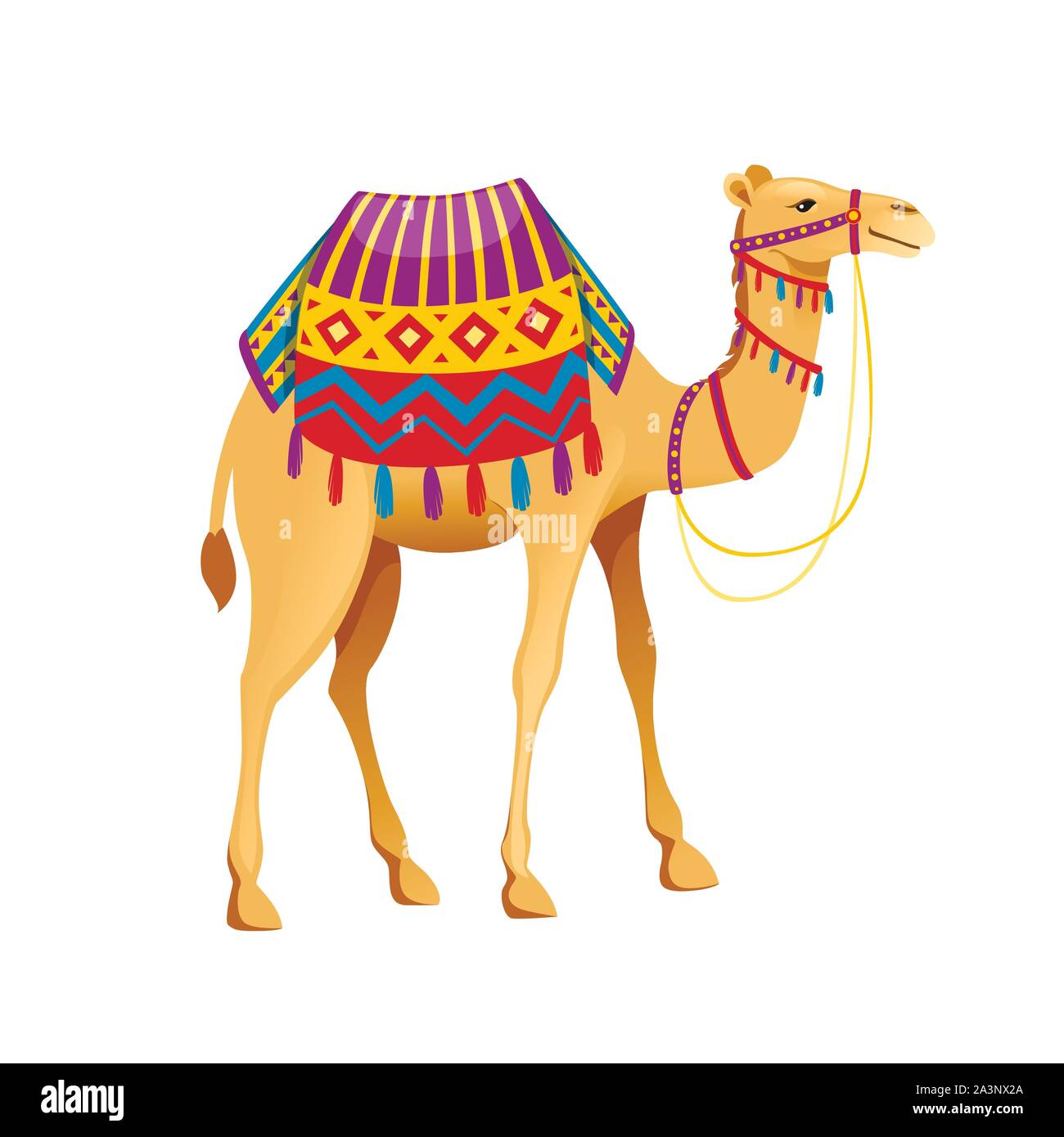 Carino due hump cammello con briglia e sella cartoon animale piatto design illustrazione vettoriale isolati su sfondo bianco. Illustrazione Vettoriale