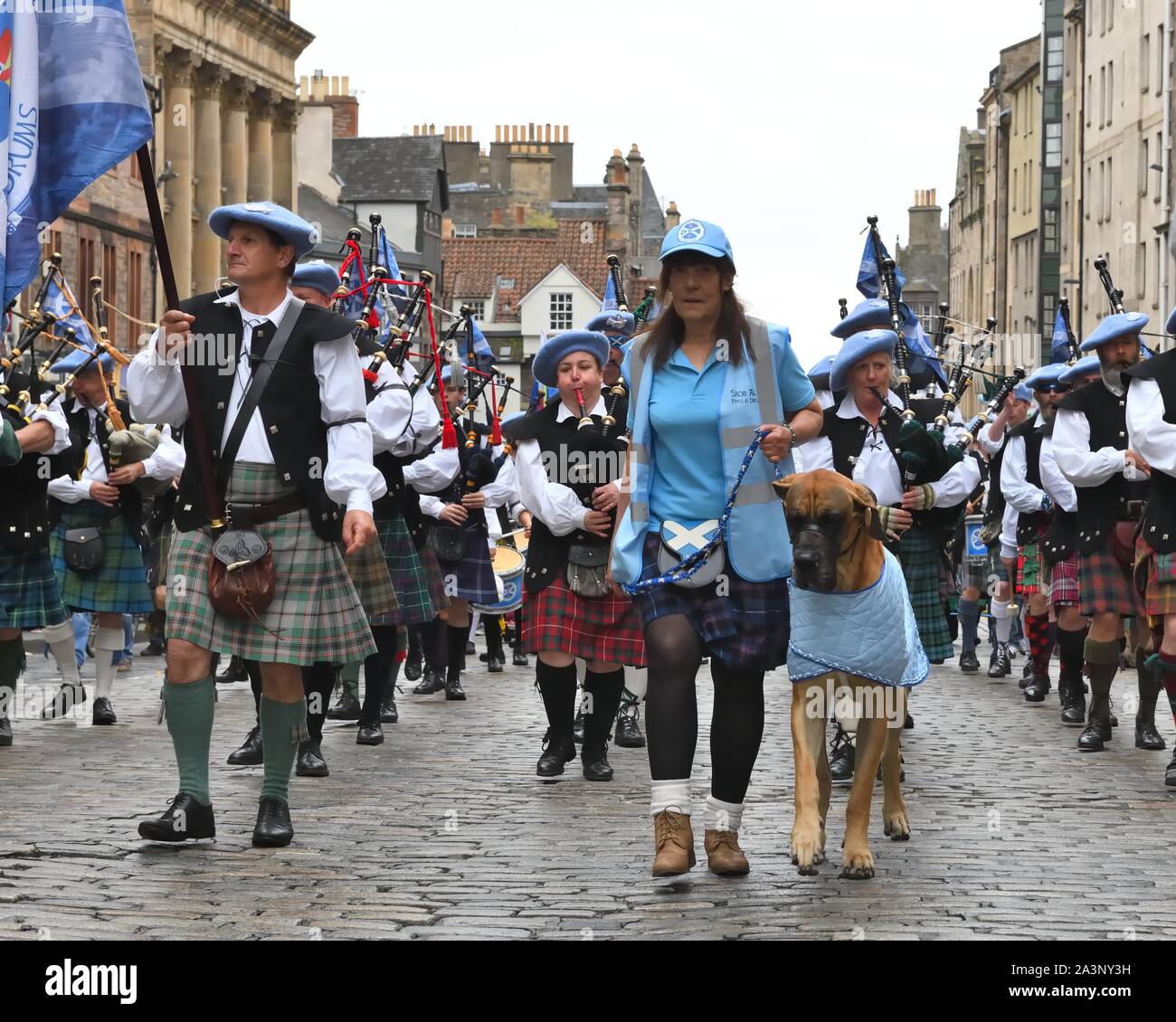 Sheldon Indy cane conduce la pipe band fino al Royal mile su tutti sotto uno striscione marzo per indipendenza Scozzese 2019, Edimburgo, Scozia, Regno Unito Foto Stock
