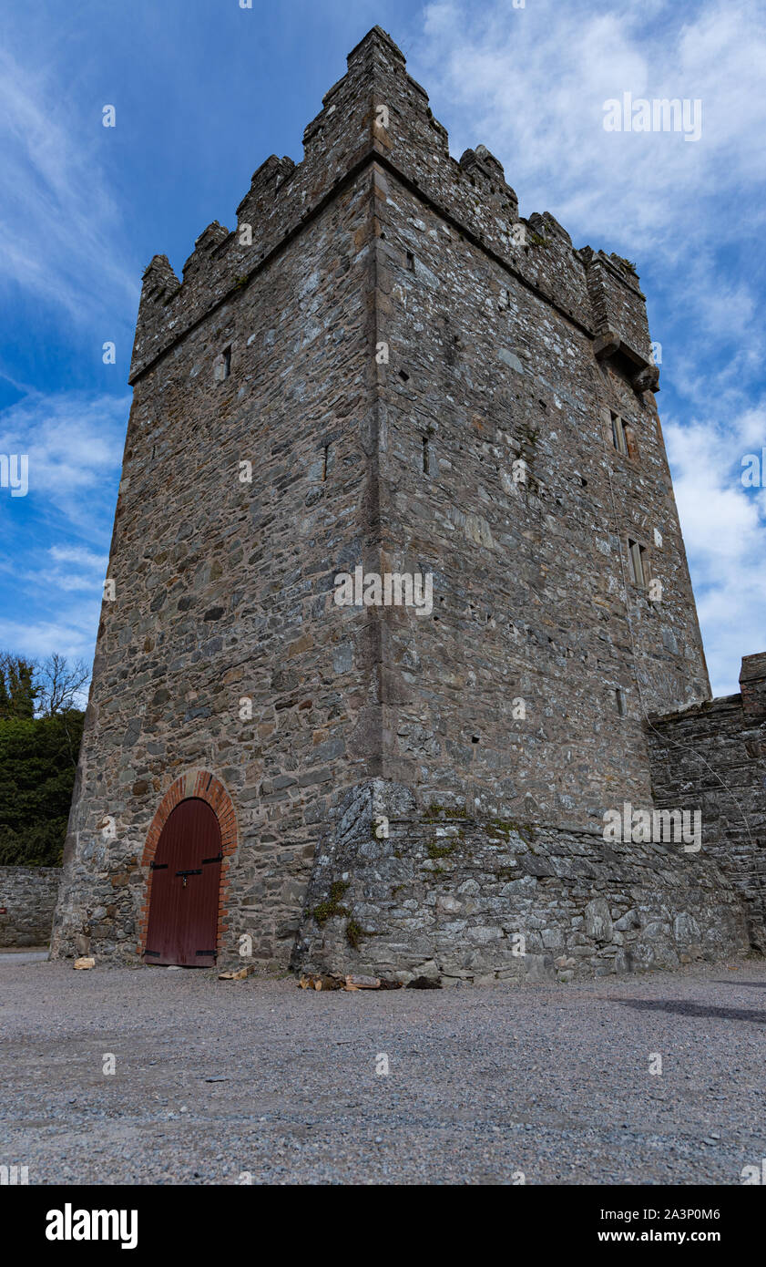 Castle Ward Tower, Castle Ward station wagon, Strangford, County Down, Irlanda del Nord Foto Stock