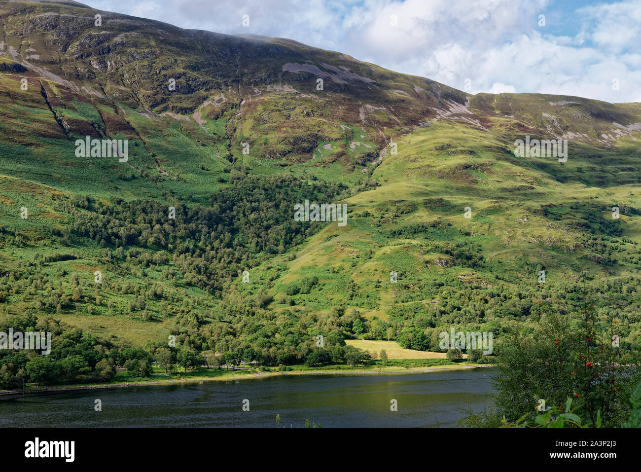 Na Teanga h-Earba sui fianchi della Mam na Gualainn sopra Loch Leven, Highland, Scotland, Regno Unito Foto Stock