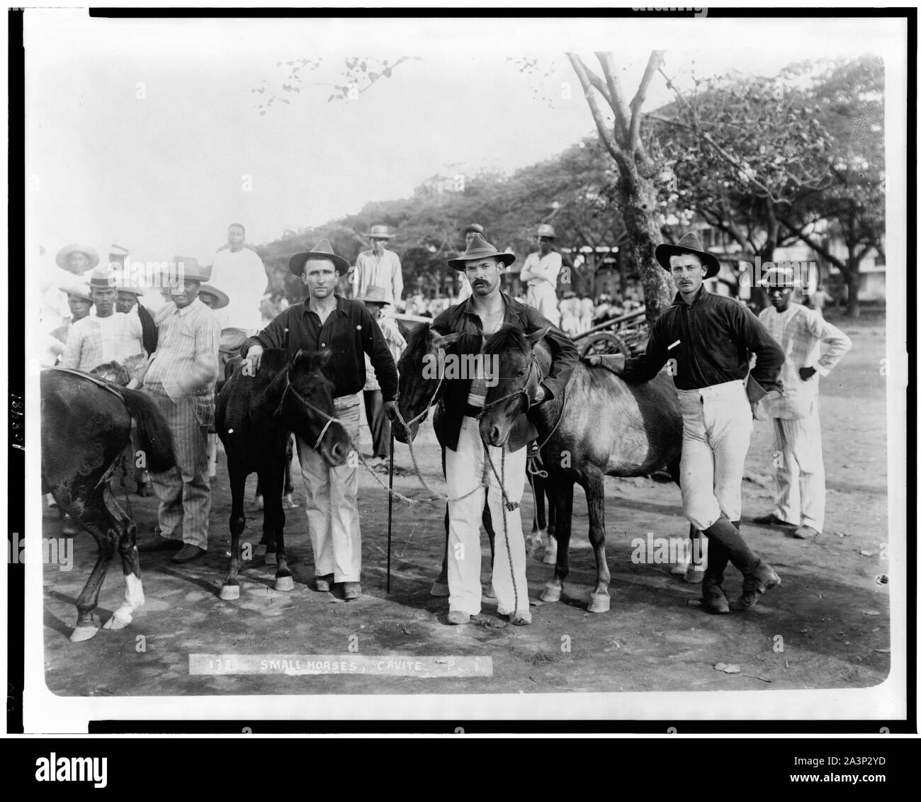 Piccoli cavalli, Cavite, P.I. Foto Stock