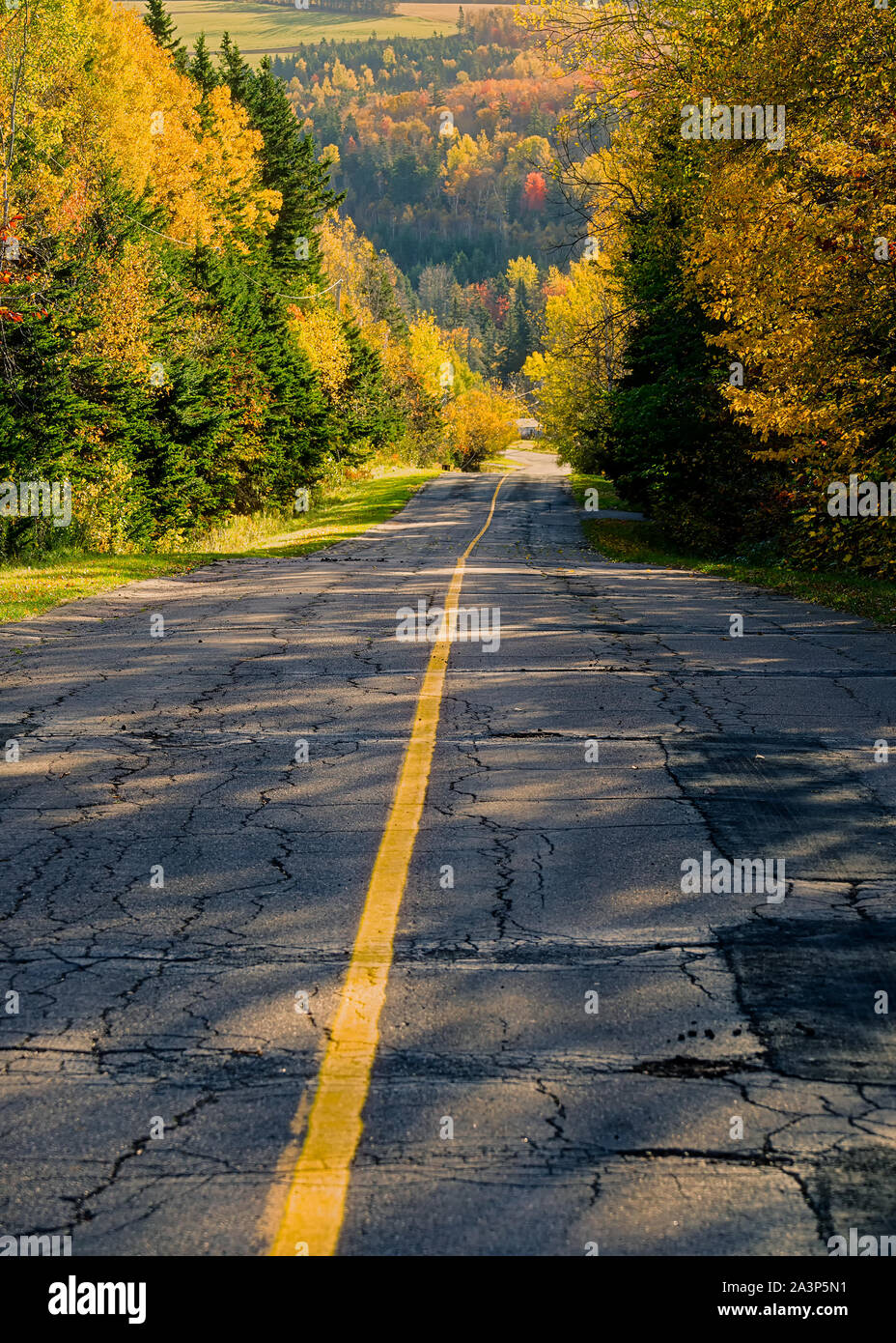 Una rotta su strada asfaltata che corre attraverso la campagna di caduta. Foto Stock